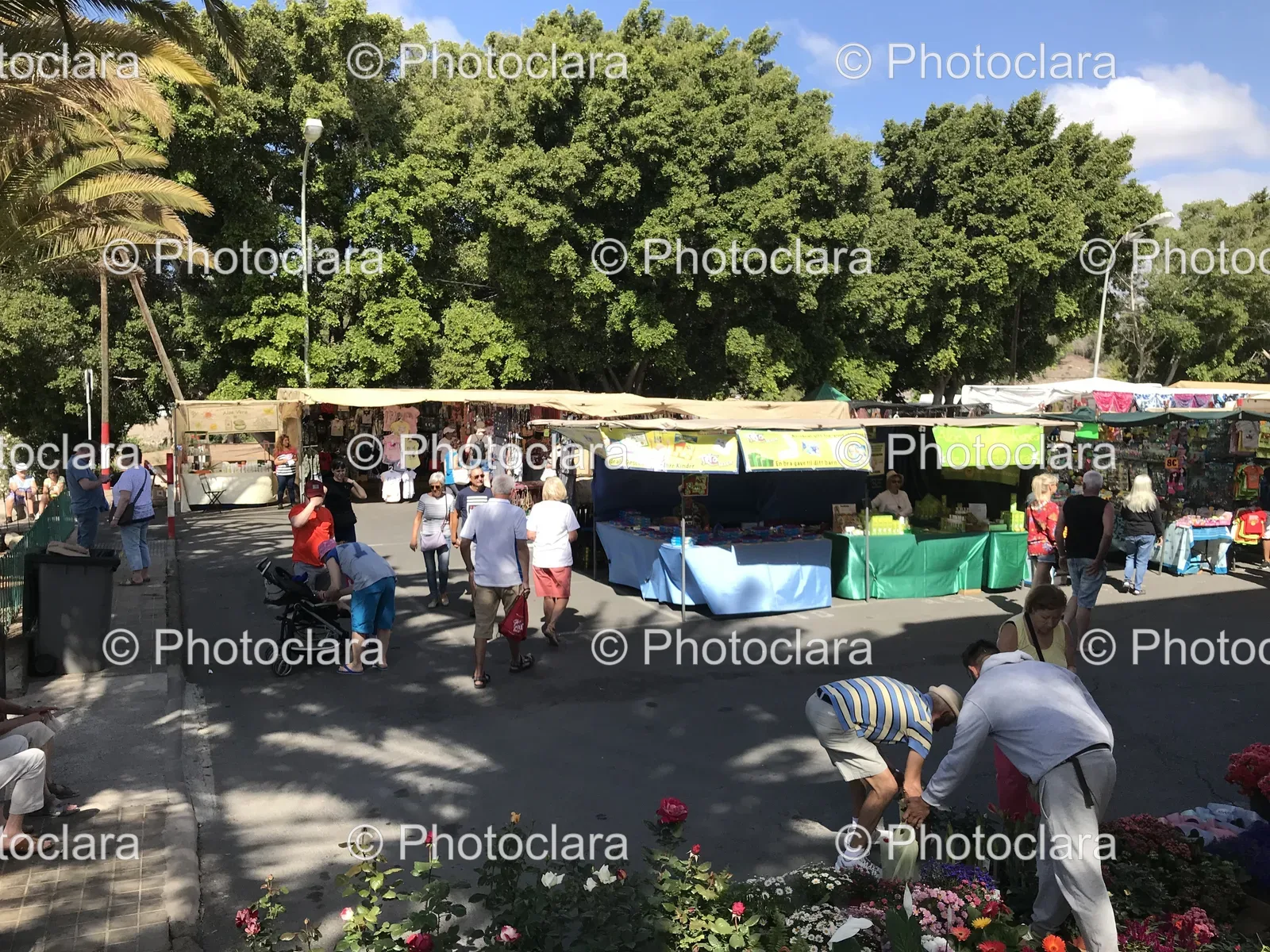 street-festival-in-full-bloom.jpg