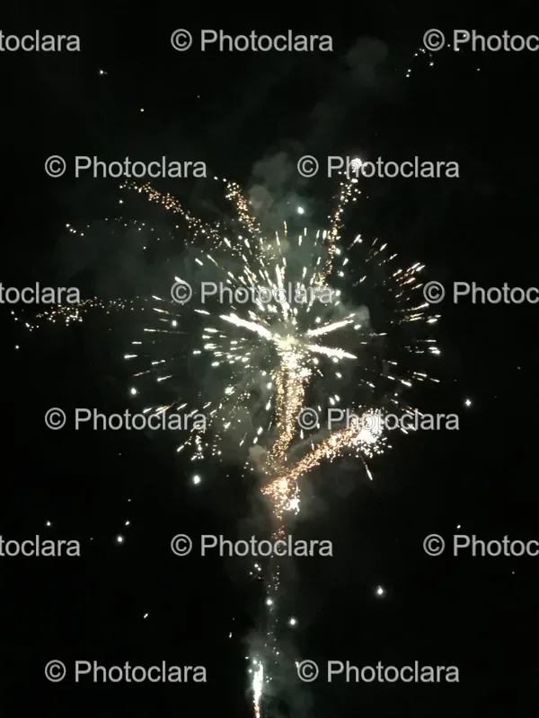 New Year Celebrations