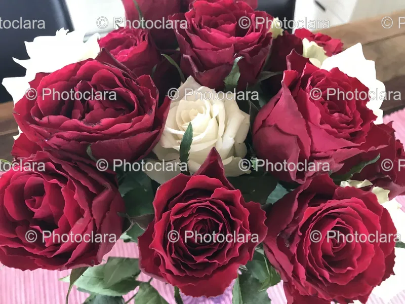 Romantic Occasions