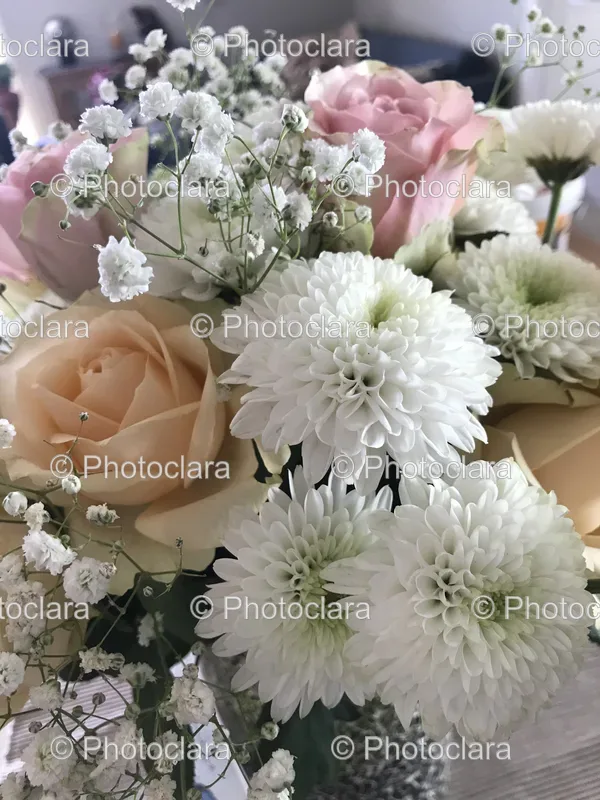 Events and Celebrations
