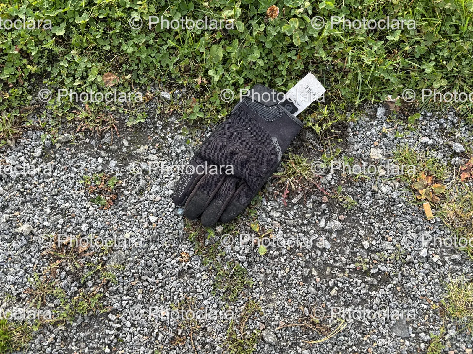 Black-Heredia-Glove-on-Grass.jpg
