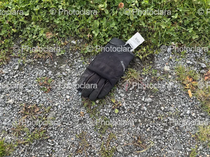 Gloves and Handwear