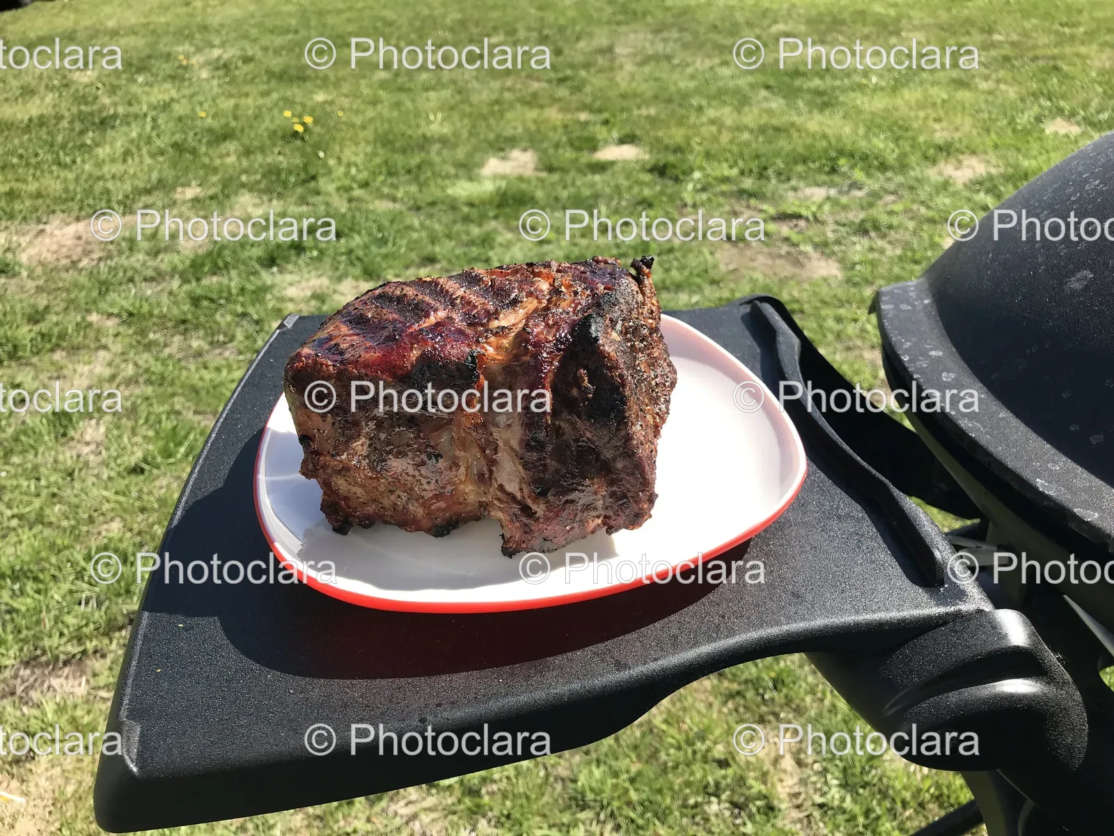 Piece-of-Meat-on-a-Plate.jpg