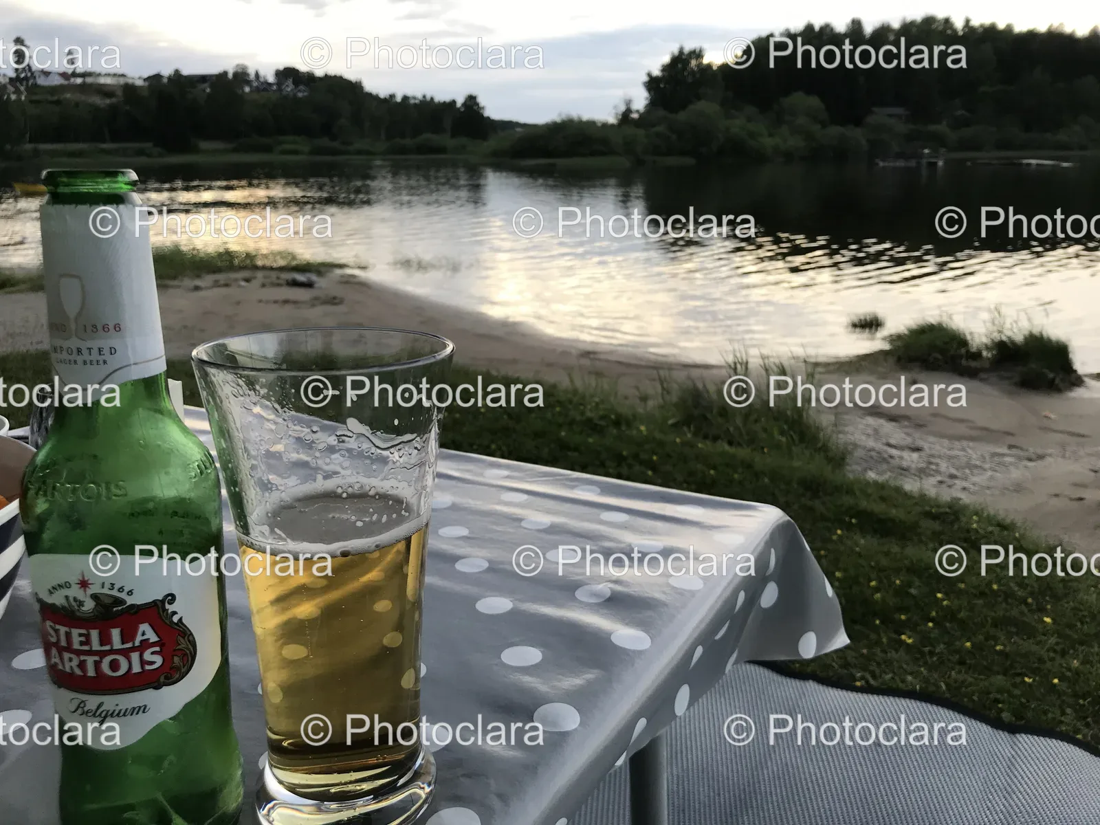Beer-by-the-Lake.jpg