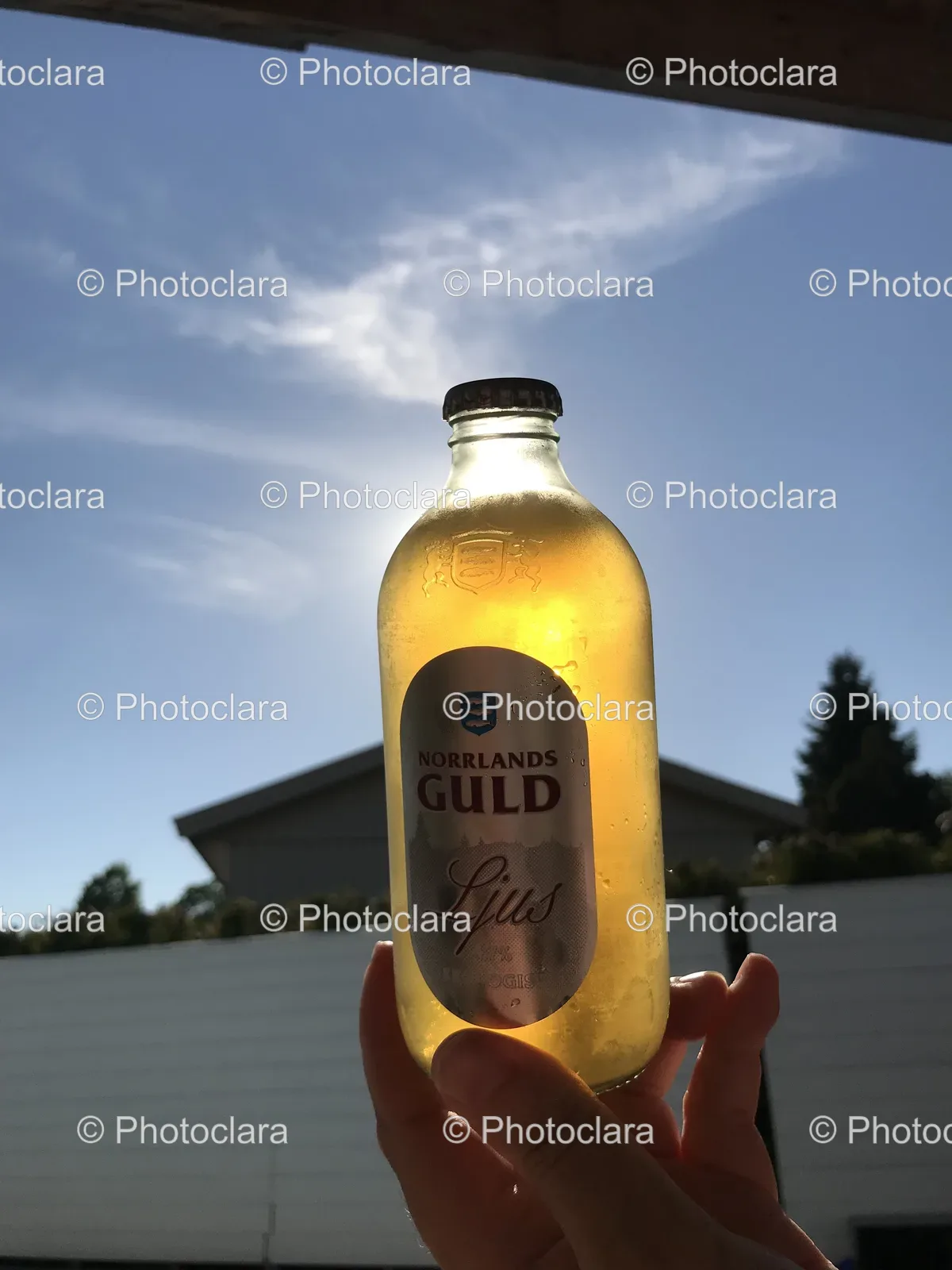 Hand-Holding-Bottle-Norrlands-Guld-Beer.jpg