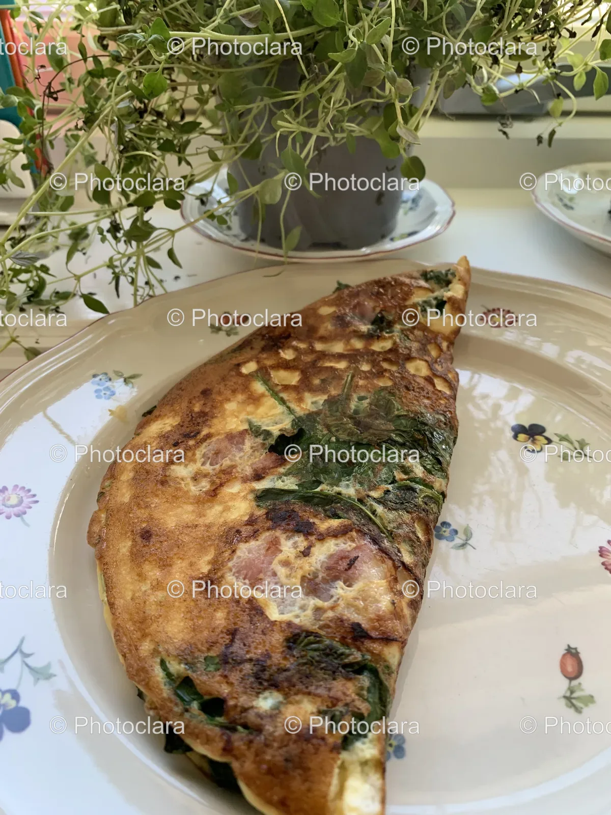 Delicious-Omelette-on-a-Plate.jpg