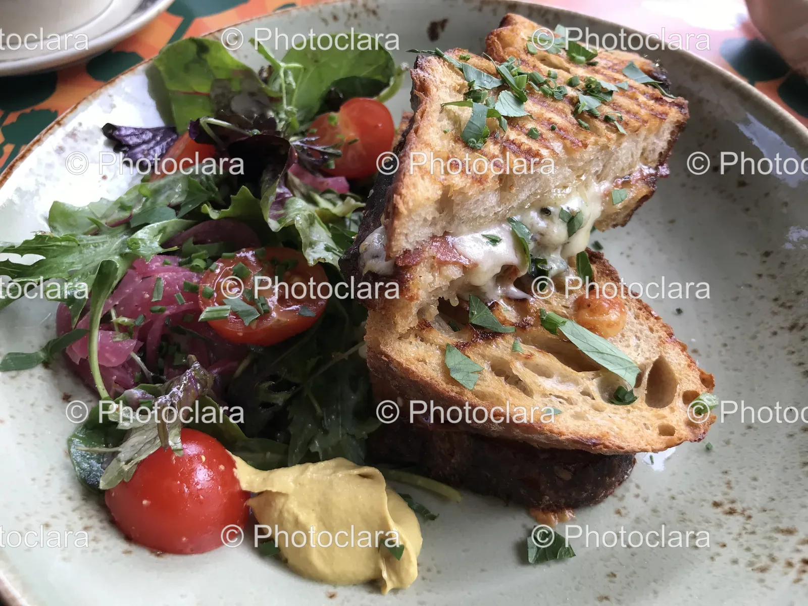 Grilled-Sandwich-with-Fresh-Salad.jpg