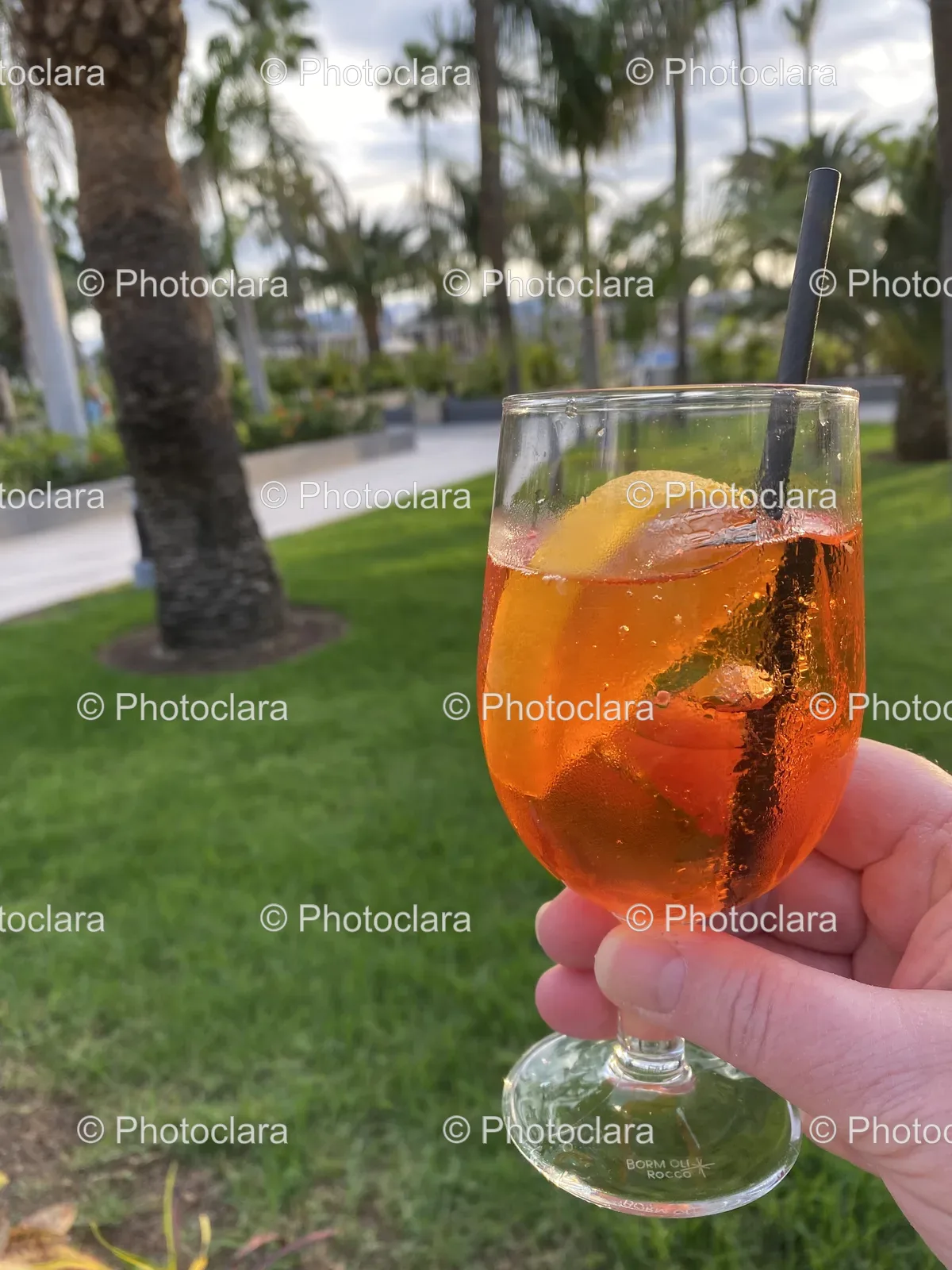 Refreshing-Orange-Cocktail-Grass-Setting.jpg