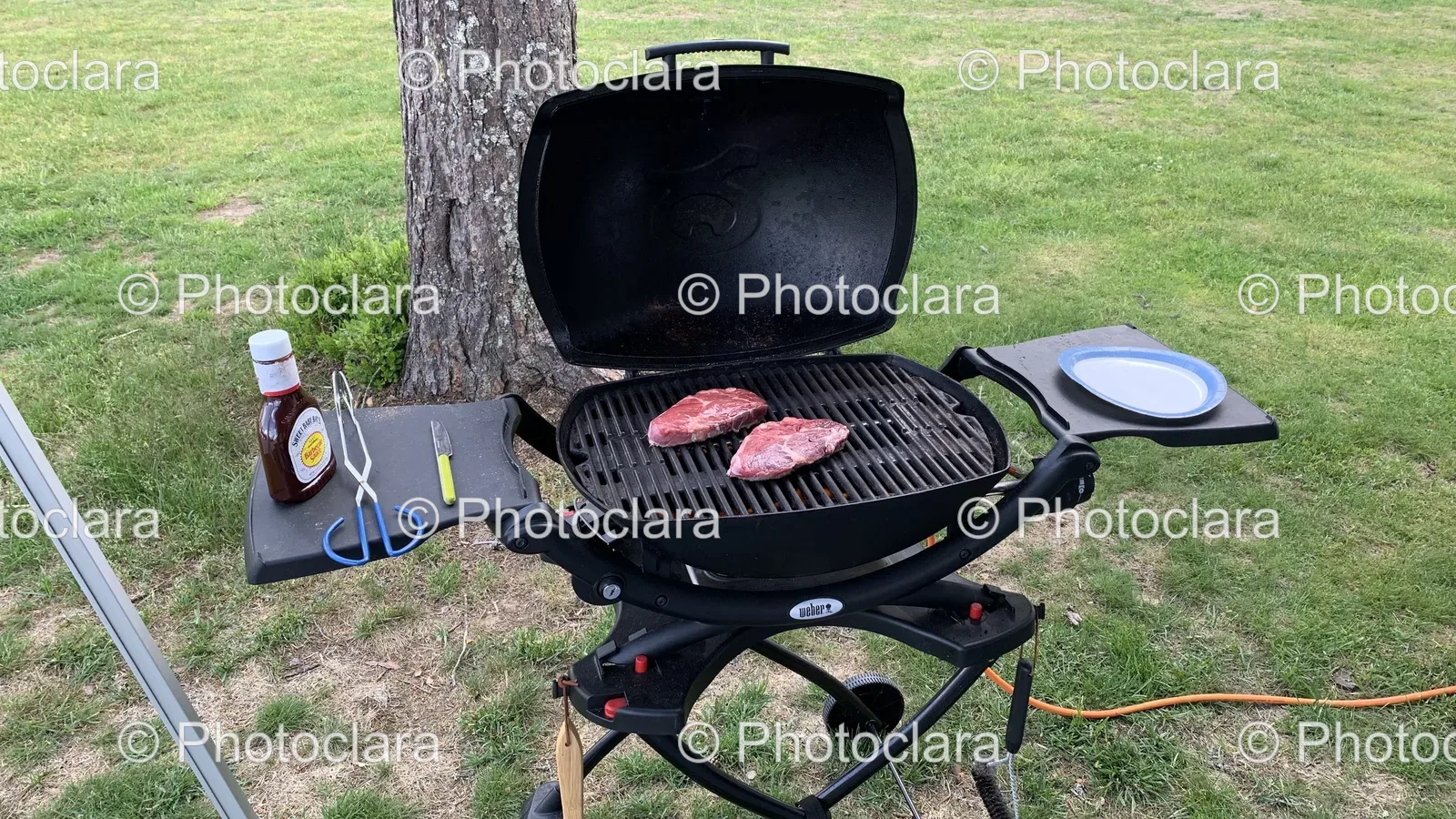 Grill-with-Meat.jpg