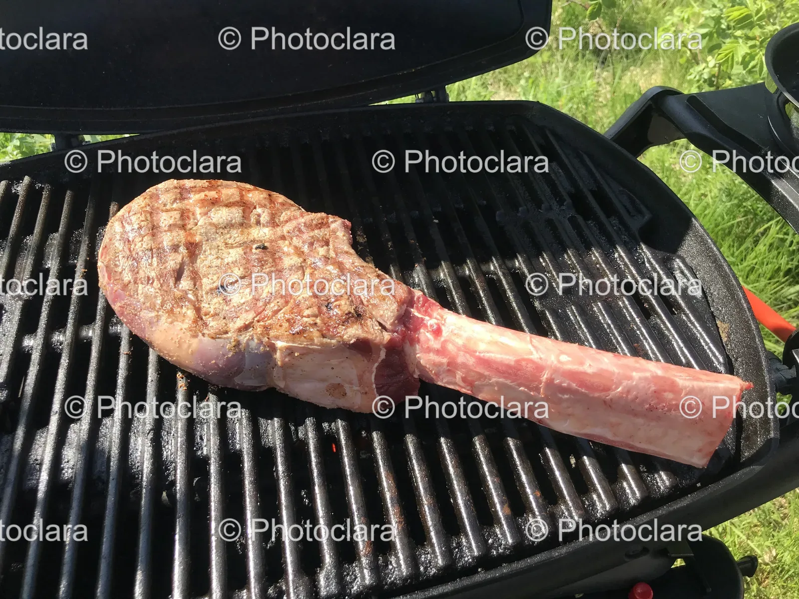 grilled-meat-barbecue.jpg