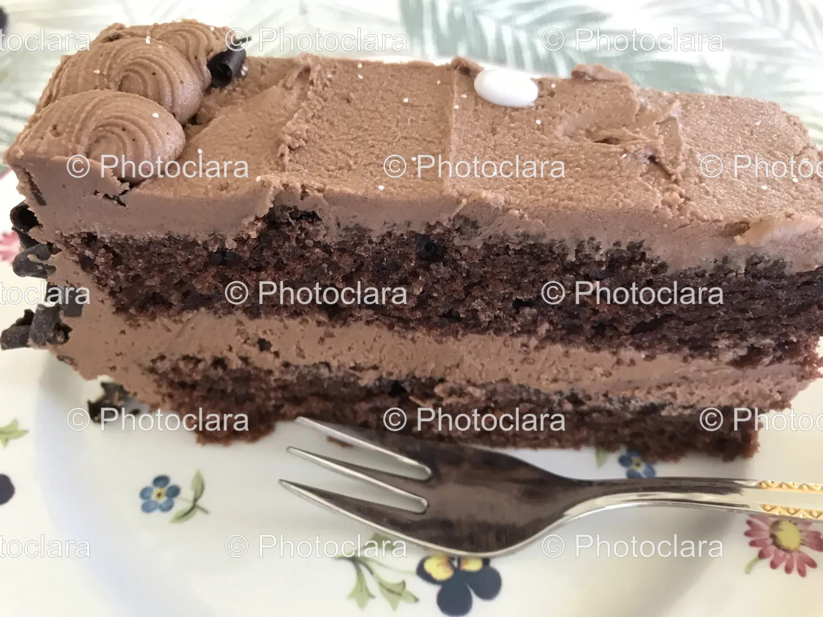 chocolate-cake-with-fork.jpg