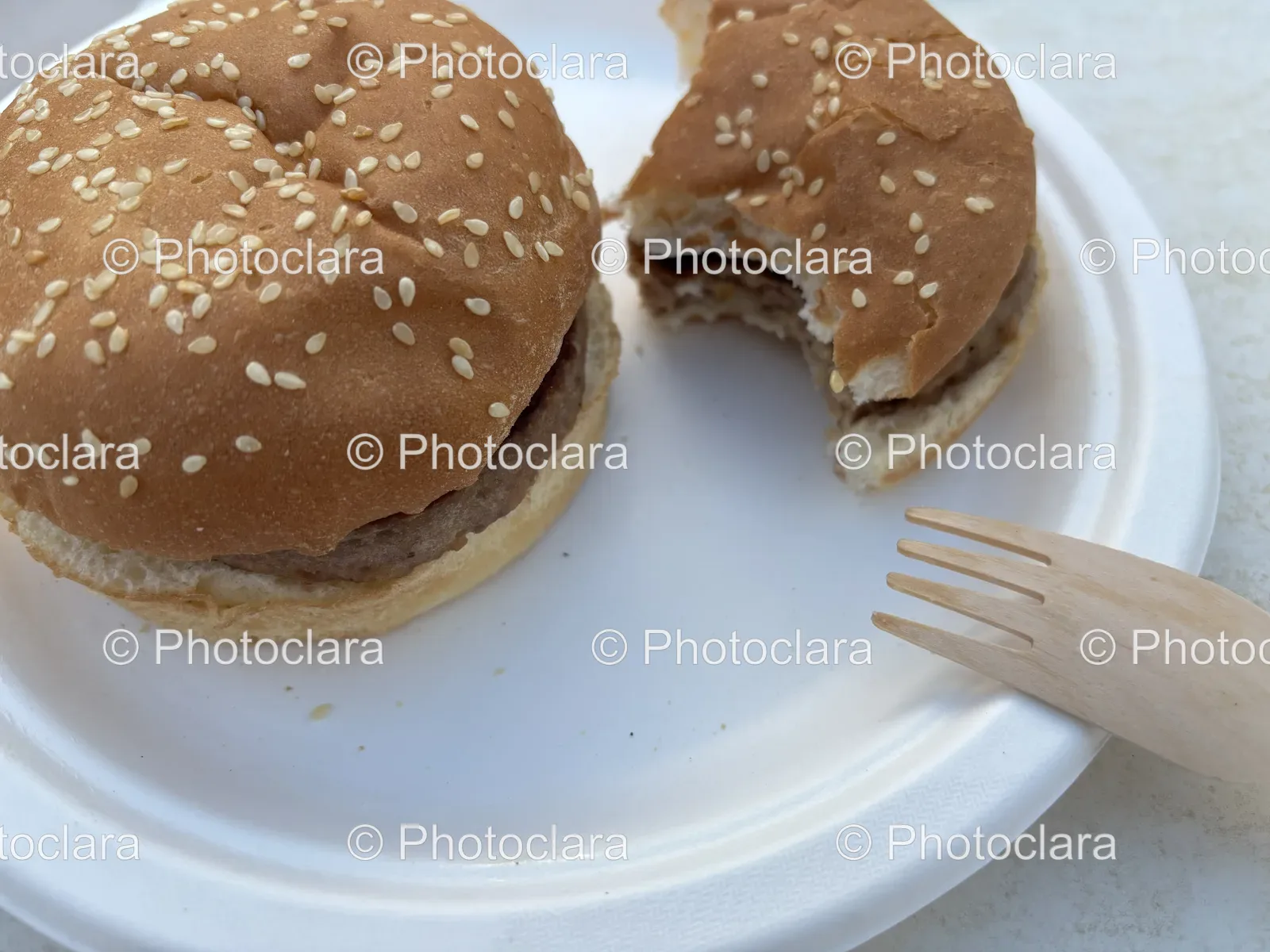 Delicious-Burger-Bite.jpg