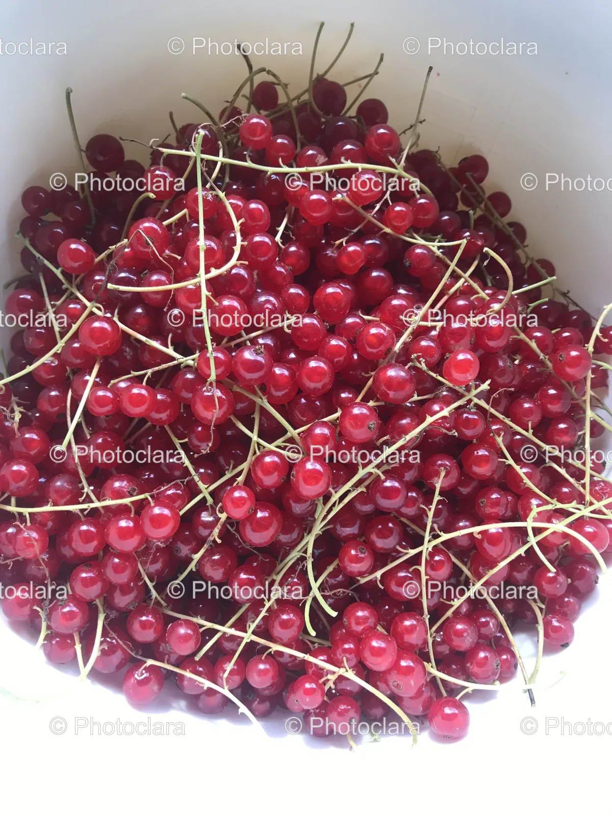 a-bowl-of-red-berries.jpg