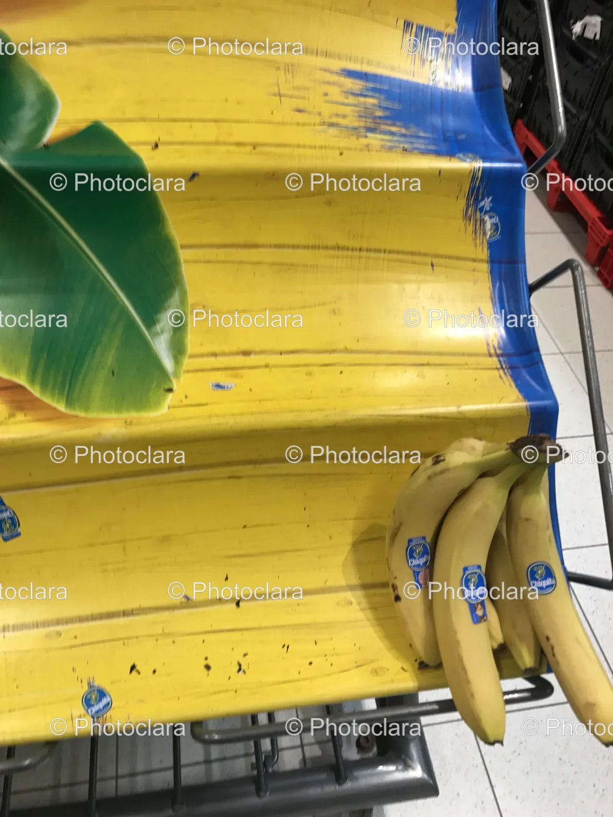 fresh-bunch-of-bananas-on-display.jpg