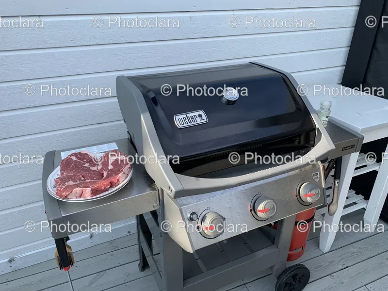 Grilling and Barbecue