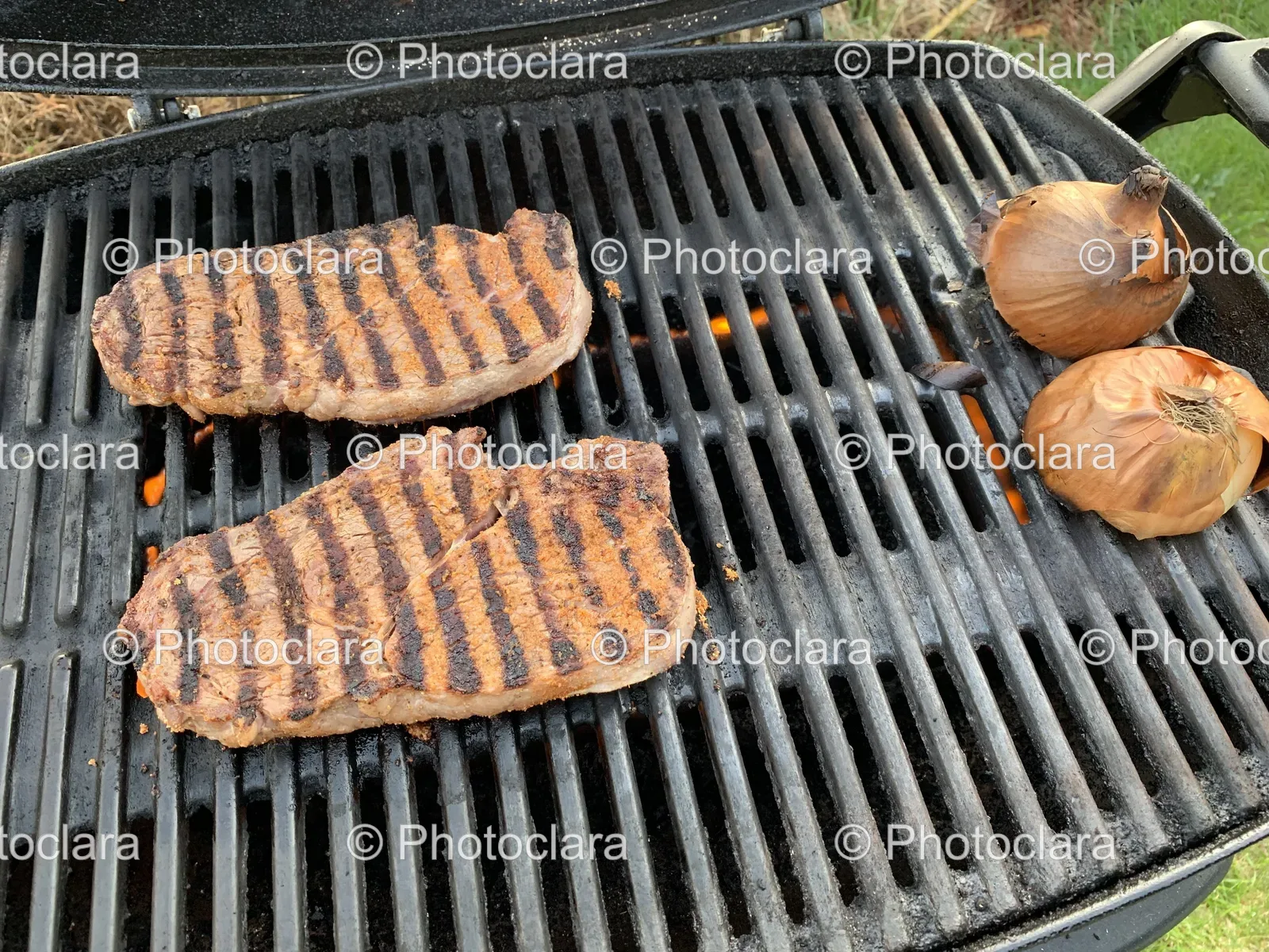 Delicious-Grilled-Feast.jpg