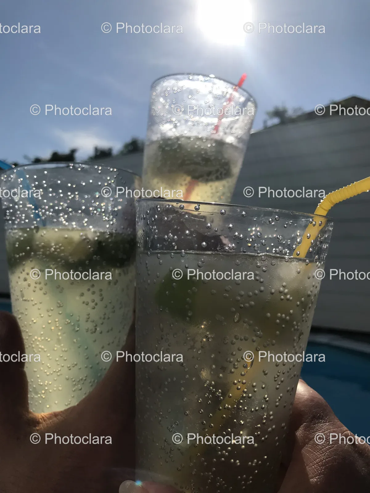 a-toast-outdoors.jpg