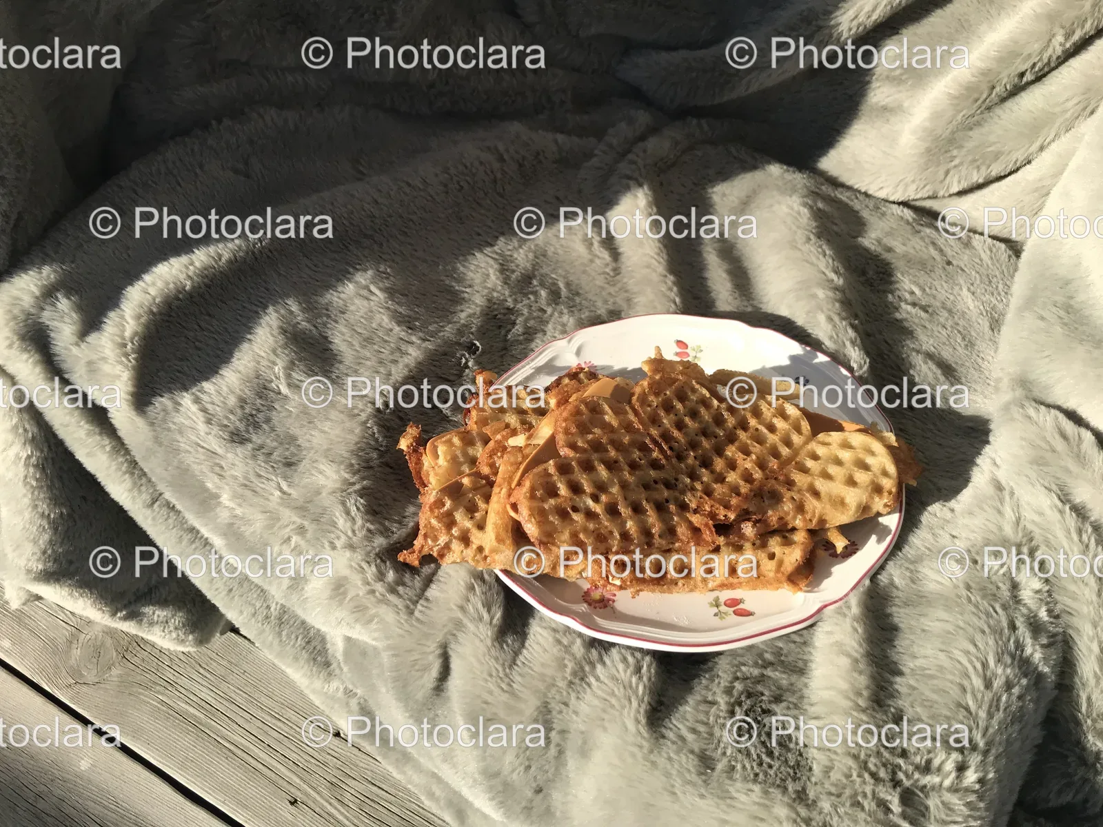 gourmet-picnic-spread.jpg