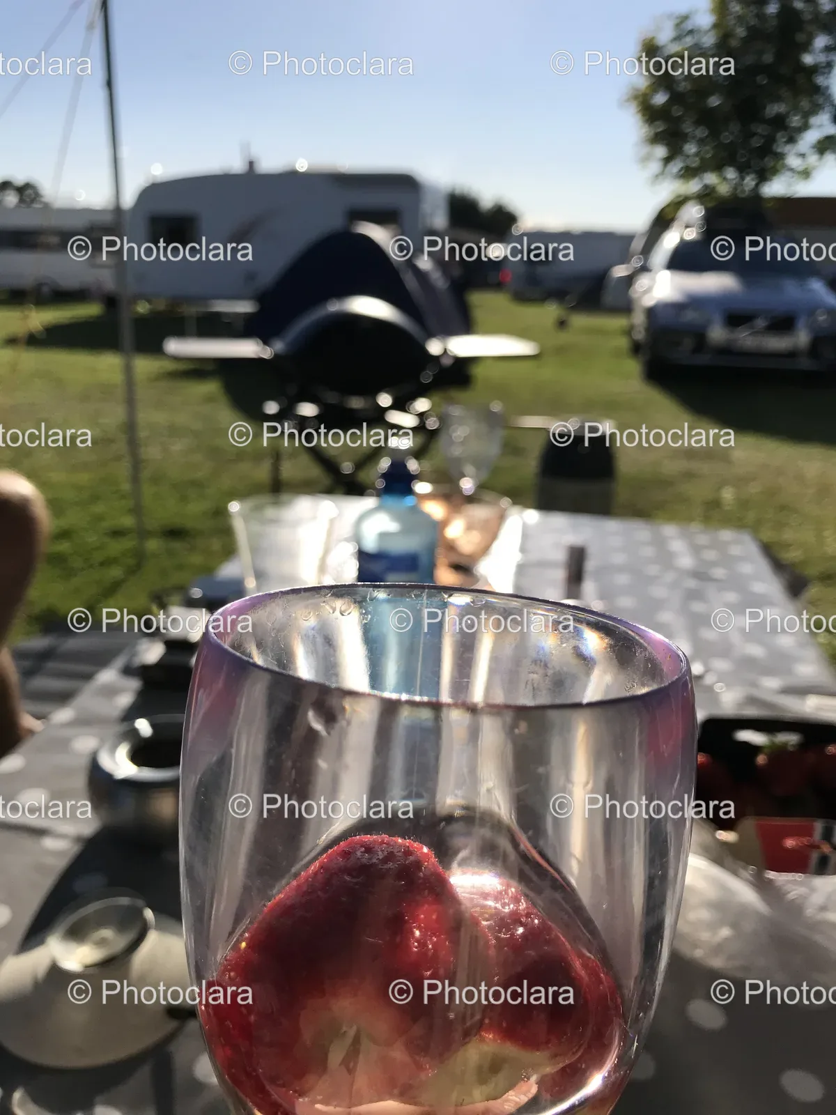 Wine-Glass-at-a-Campground.jpg