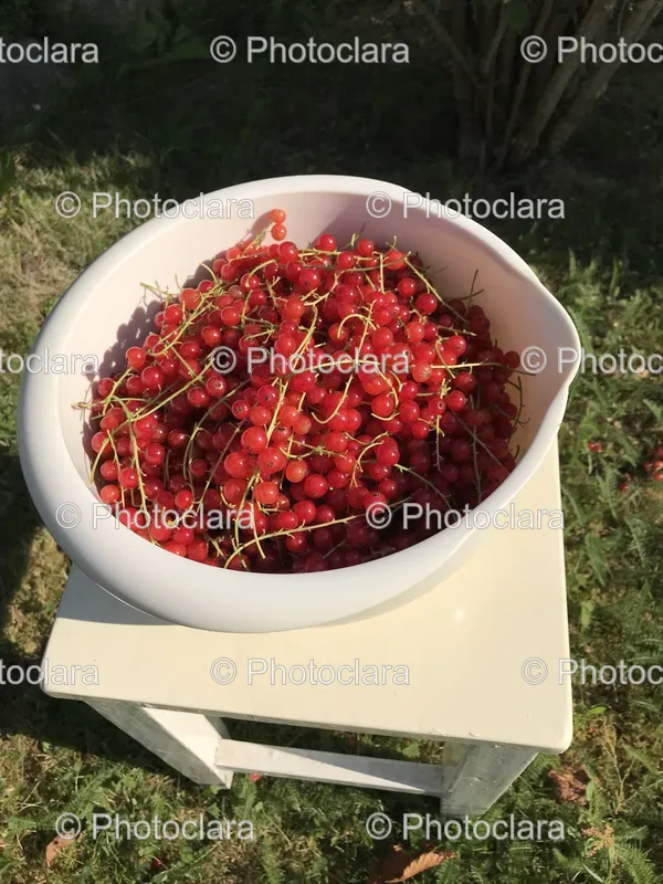 Outdoor Food Scenes