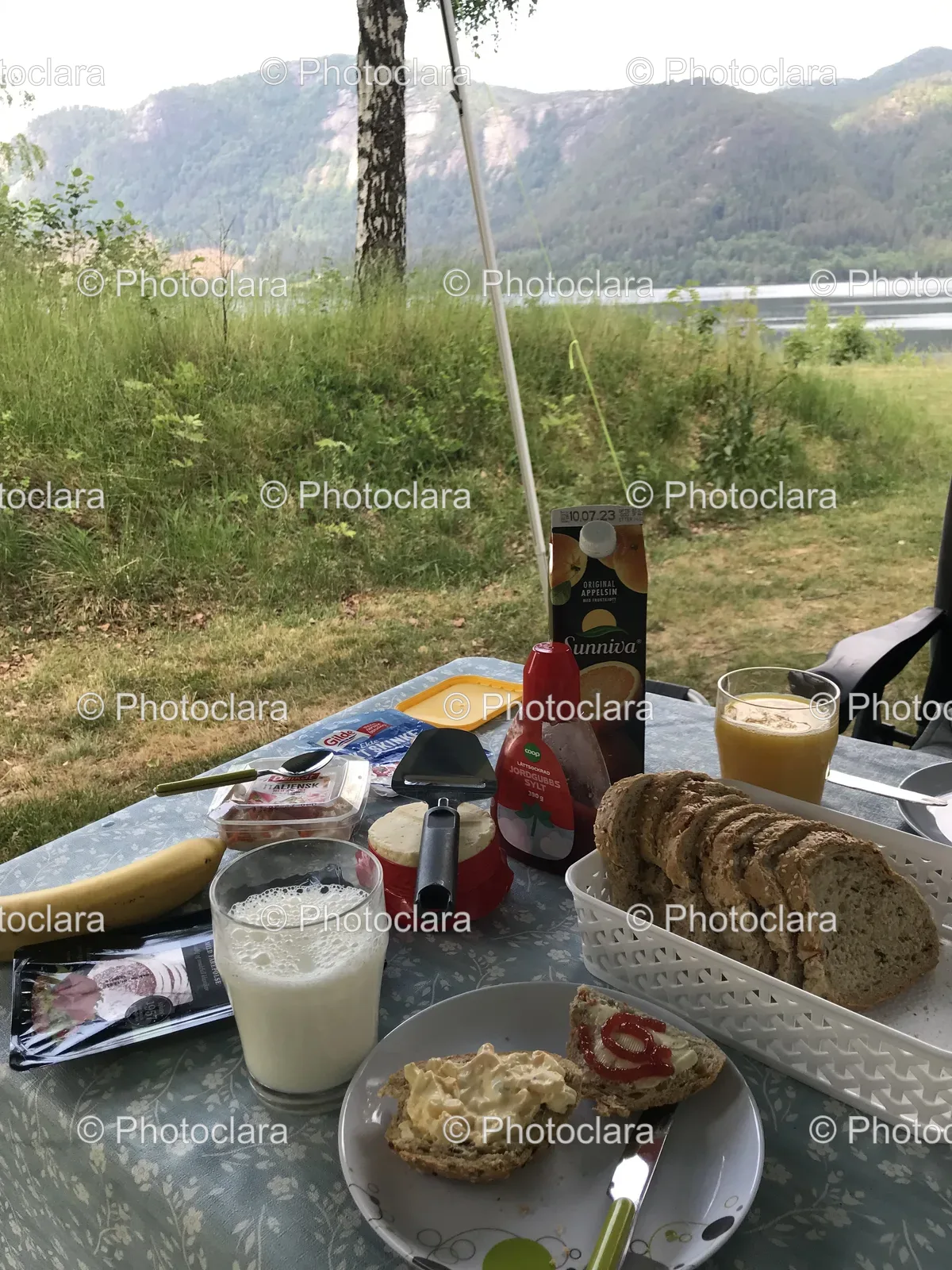 Outdoor-Picnic-Table-with-Food-and-Drinks.jpg