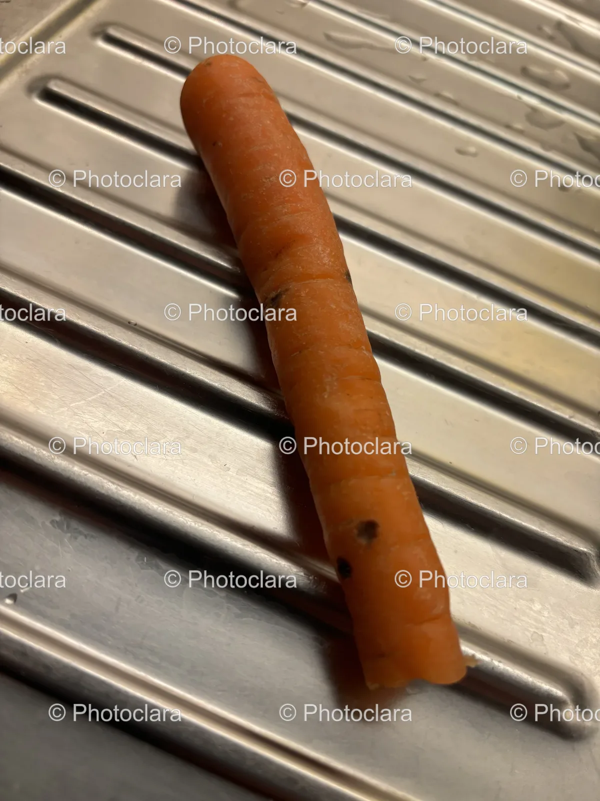 Single-Carrot-on-Metal-Surface.jpg