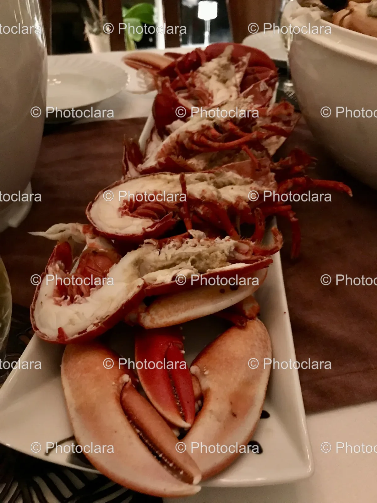 Plate-of-Cooked-Lobster.jpg