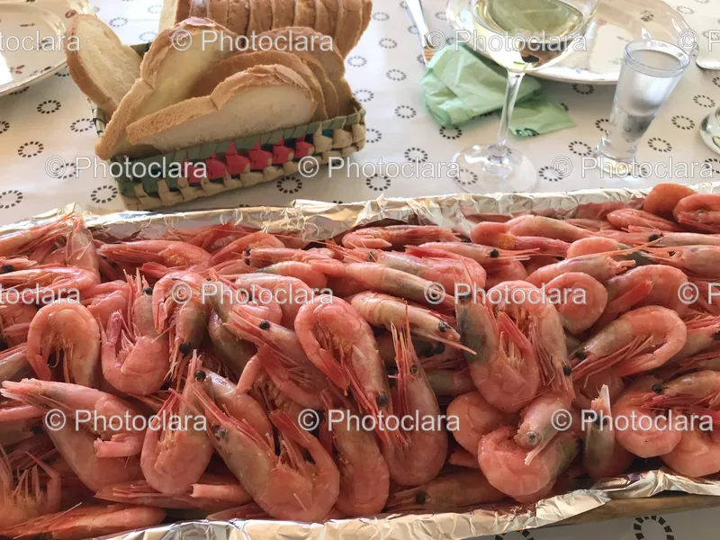 Seafood Feasts