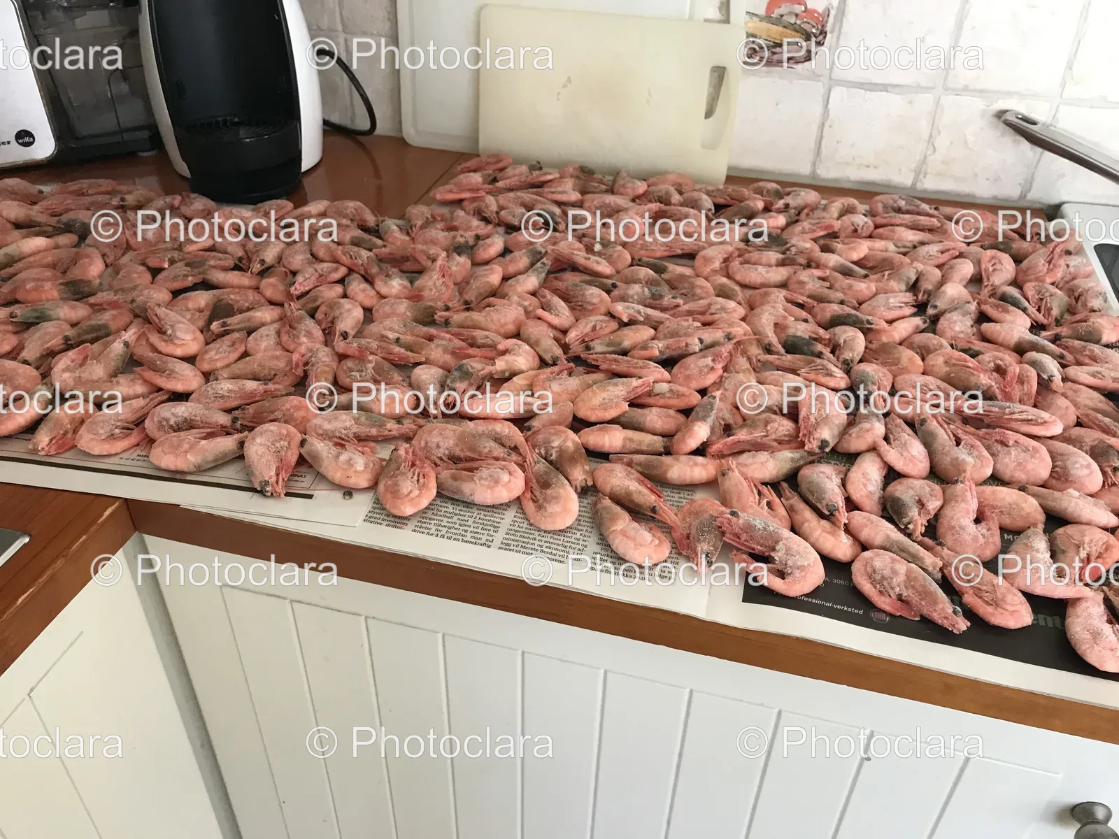 fresh-shrimp-on-counter.jpg
