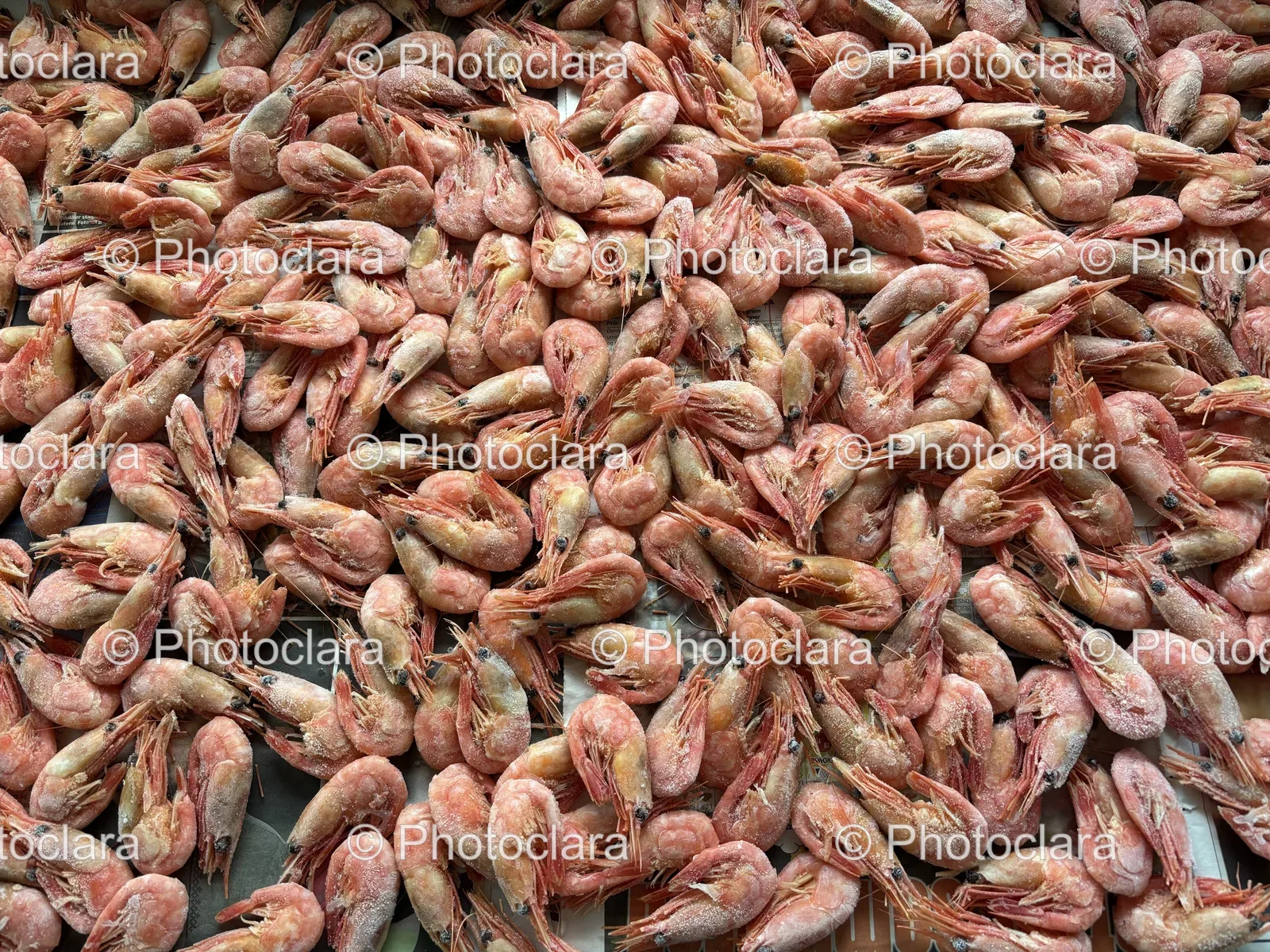 frozen-shrimp-pile.jpg