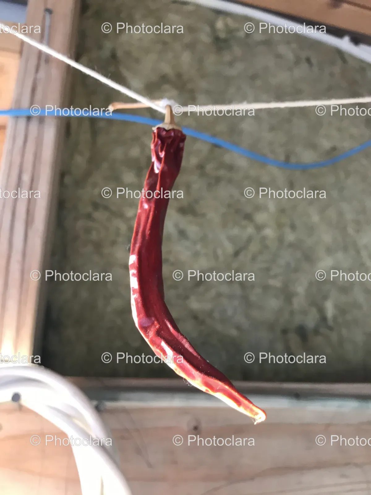 Red-Pepper-Hanging-on-String.jpg