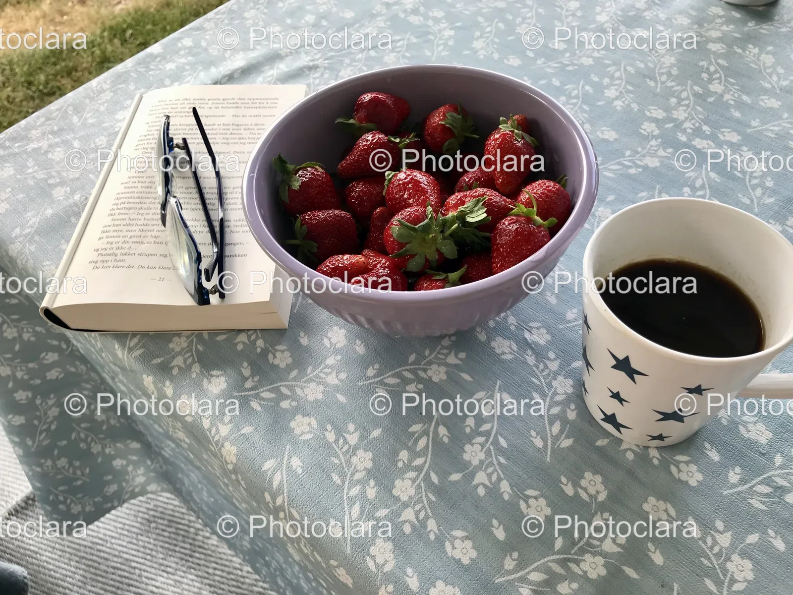 Strawberries-and-a-Book.jpg