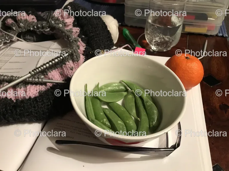 Vegetables and Ingredients