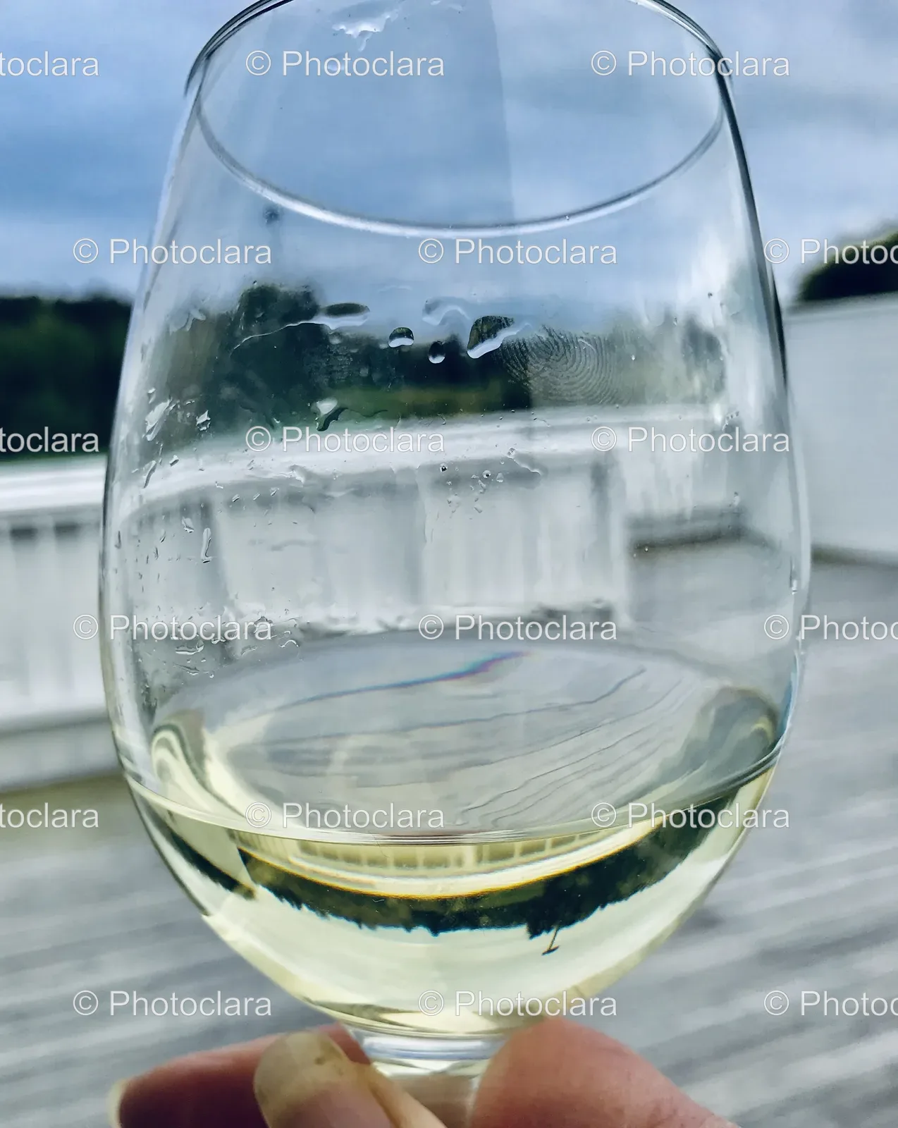 a-glass-of-white-wine.jpg