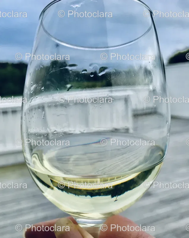Wine and Champagne