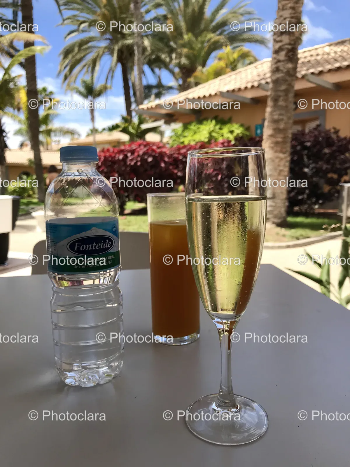 Bottle-of-Water-and-Glass-of-Champagne-on-a-Table.jpg