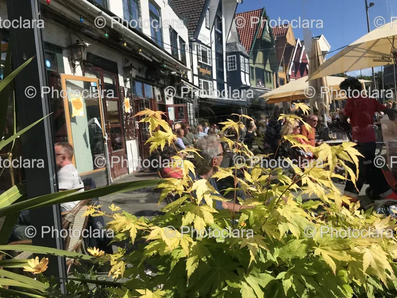 Street Markets and Bazaars