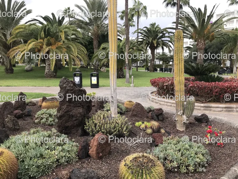Botanical Gardens