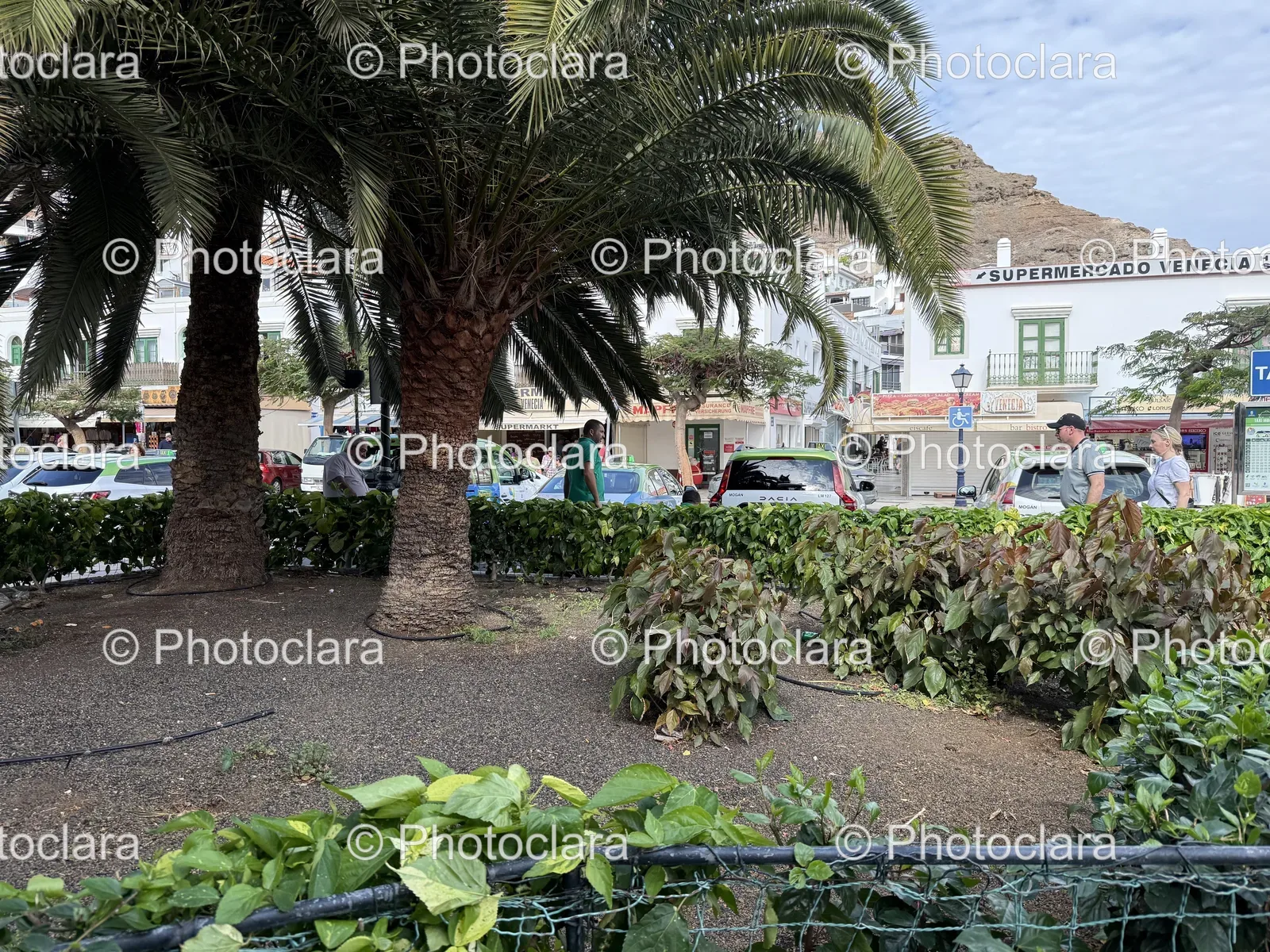 Exploring-the-Vibrant-Botanical-Garden.jpg