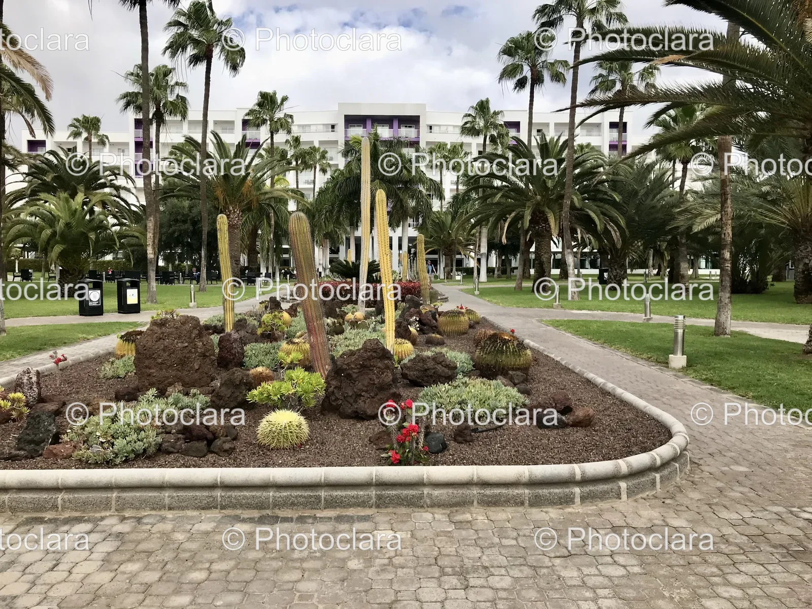 serene-garden-with-cacti-and-palm-trees.jpg