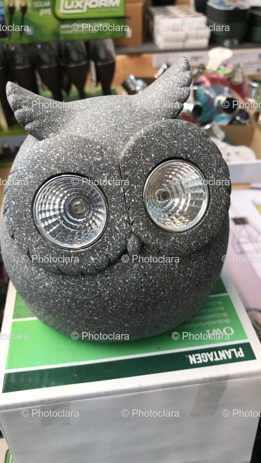 stone-owl-statue-dual-lights.jpg