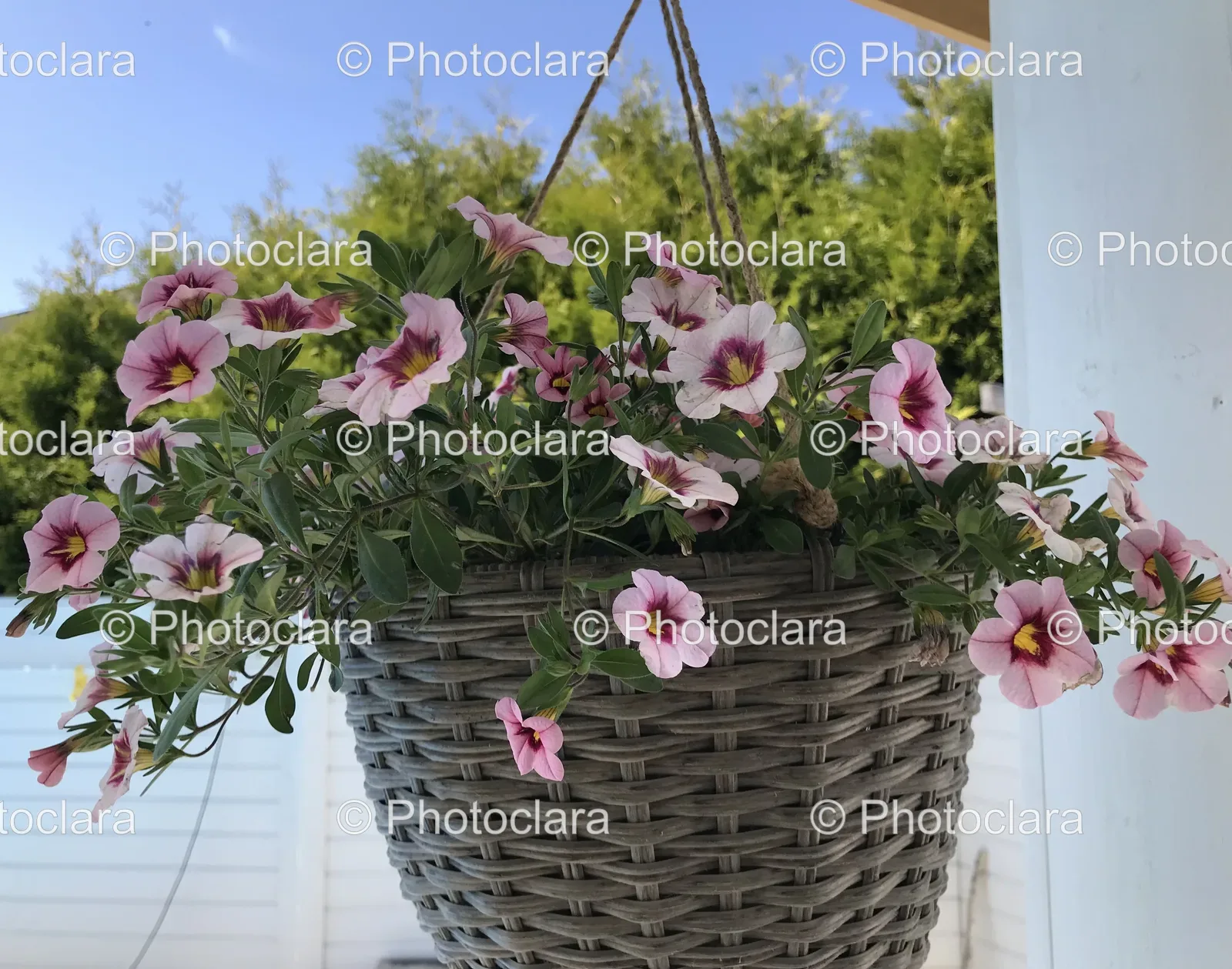 basket-of-flowers-on-porch.jpg