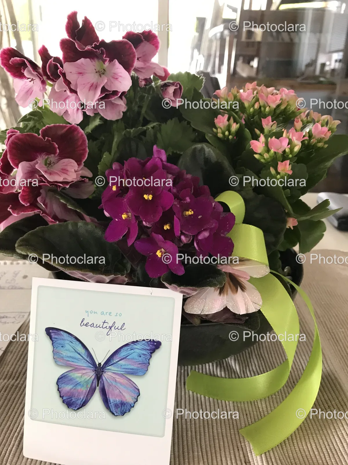 Beautiful-Flower-Arrangement-Touching-Quote.jpg