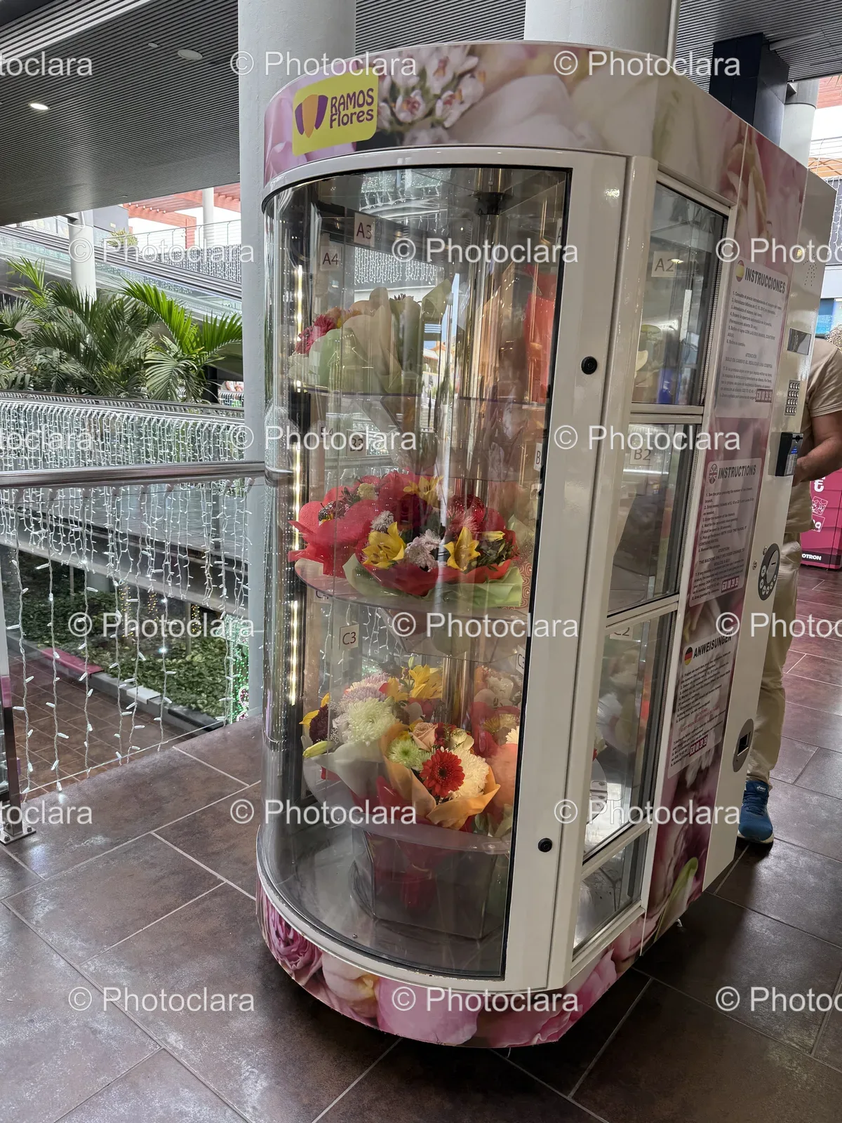 Flower-Display-Case-Bamos.jpg