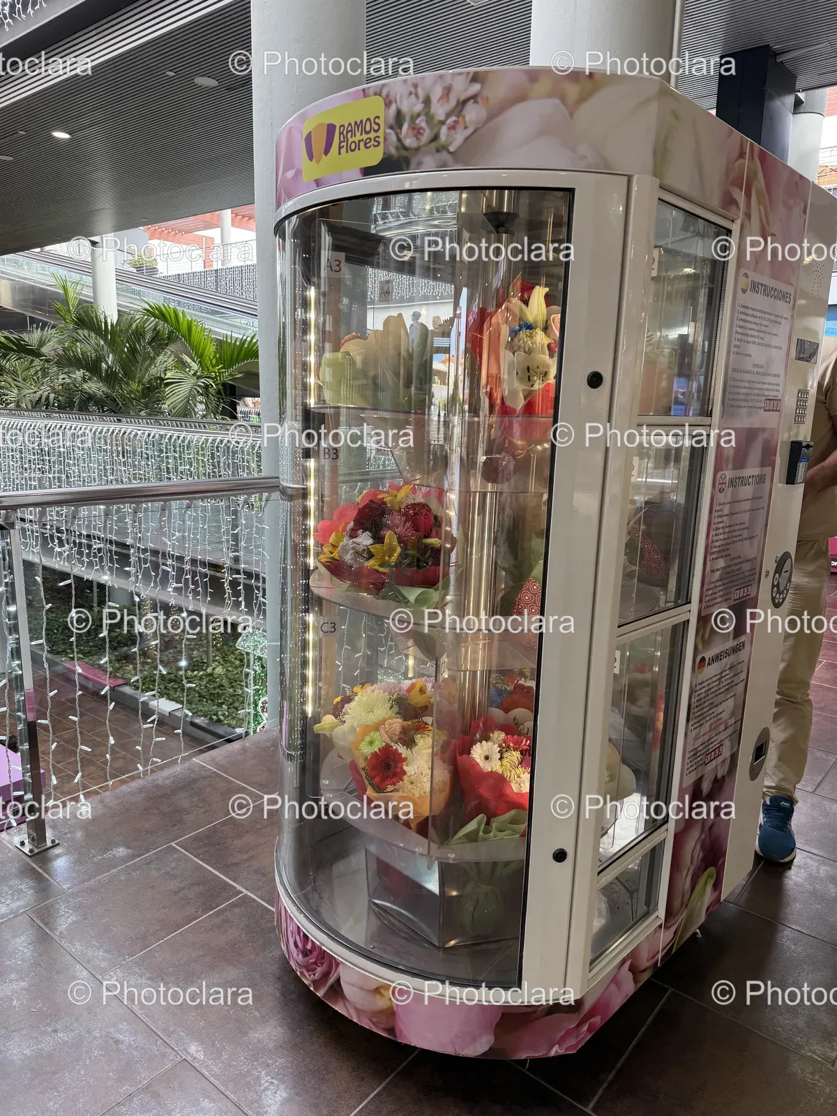 flower-display-case.jpg