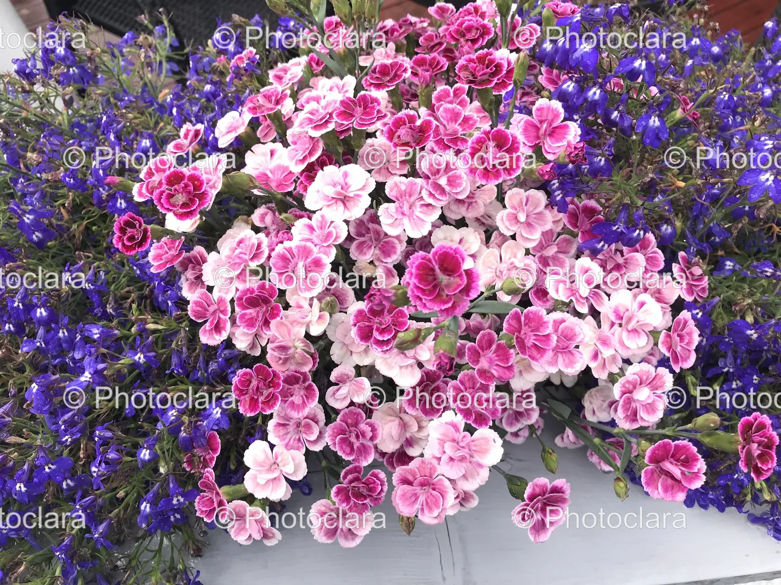 Pink-and-White-Floral-Arrangement.jpg
