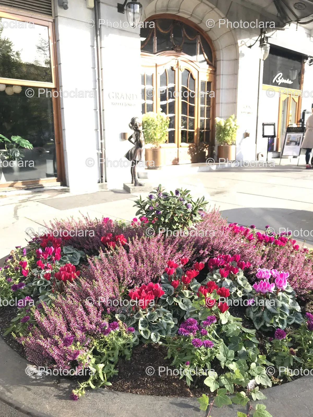 Vibrant-Flower-Bed-Building-Backdrop.jpg