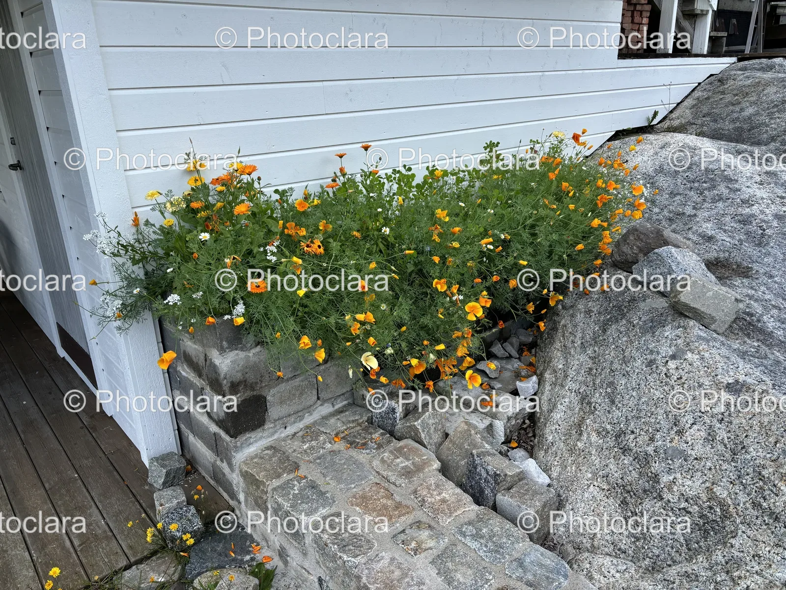 planter-with-orange-flowers-and-rocks.jpg