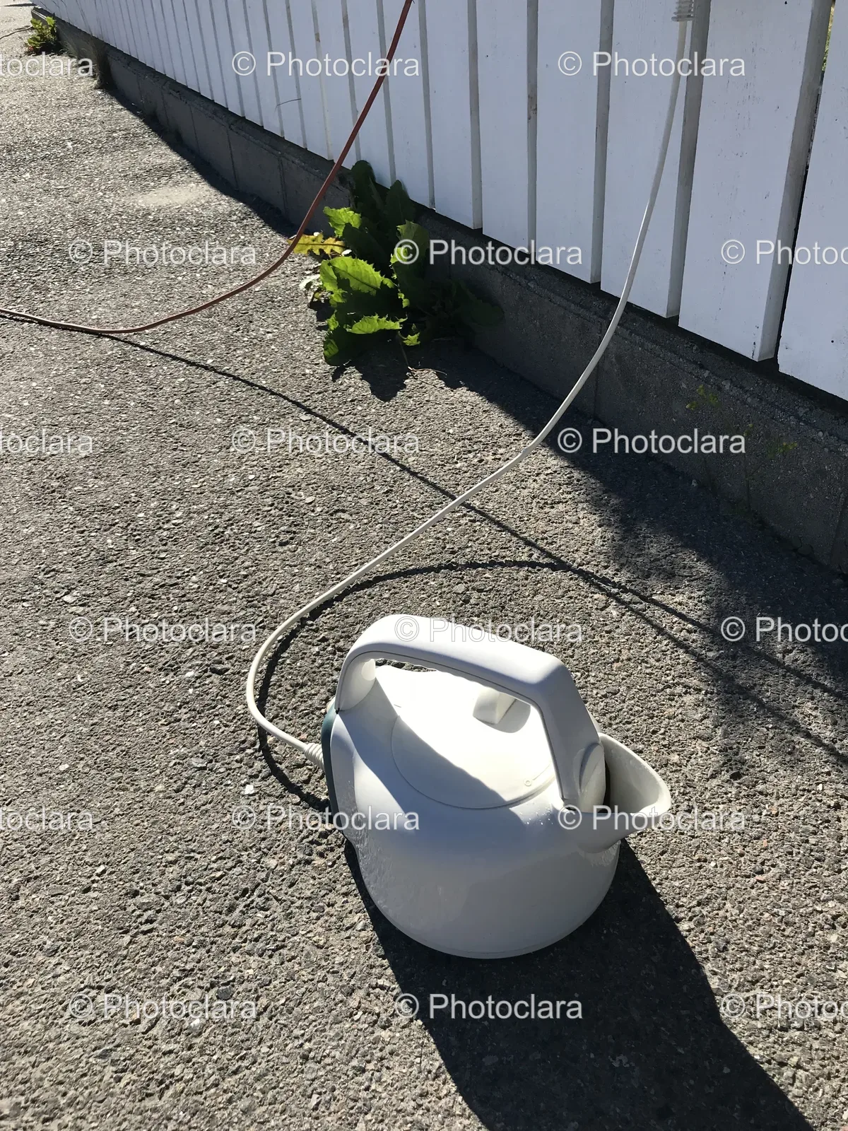 white-tea-kettle-on-ground.jpg
