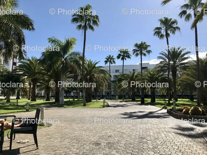 Garden Walkways and Pathways